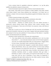 Versijų tikrinimo samprata ir taisyklės 17 puslapis