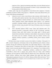 Versijų tikrinimo samprata ir taisyklės 18 puslapis