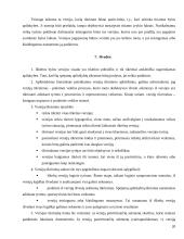 Versijų tikrinimo samprata ir taisyklės 20 puslapis