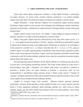 Versijų tikrinimo samprata ir taisyklės 5 puslapis