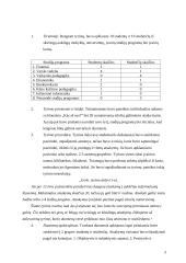 Aš vaizdo ypatybių įvertinimas taikant dvidešimties pasisakymų testą 3 puslapis