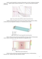Bangolaidžio charakteristikų tyrimas paketu "CST Microwave Studio" 2 puslapis