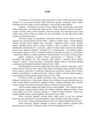 Įgūdžių susidarymo ypatumai 2 puslapis