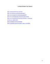 Anykščių rajono savivaldybės verslo ir turizmo plėtra 13 puslapis