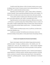 Anykščių rajono savivaldybės verslo ir turizmo plėtra 6 puslapis