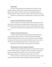 Anykščių rajono savivaldybės verslo ir turizmo plėtra 8 puslapis