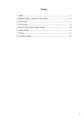 Aristotelis "Politika" 2 puslapis