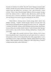 Asmens duomenų apsauga 2 puslapis