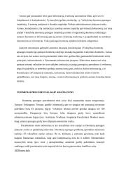 Asmens duomenų apsauga 19 puslapis