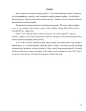 Internetinio tinklapio struktūra: UAB "Kautra" 12 puslapis