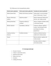 Internetinio tinklapio struktūra: UAB "Kautra" 5 puslapis