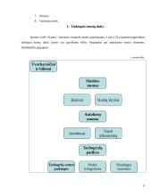 Internetinio tinklapio struktūra: UAB "Kautra" 6 puslapis