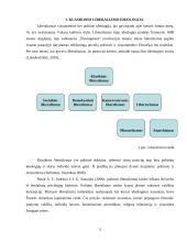 Liberaliosios švietimo politikos charakteristika 5 puslapis