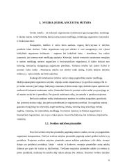 Mažų vaikų mitybos ypatumai 6 puslapis