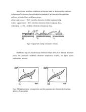 Minkštų baldų gamybos technologija 10 puslapis