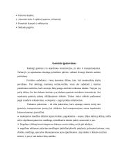 Minkštų baldų gamybos technologija 13 puslapis