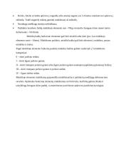 Minkštų baldų gamybos technologija 2 puslapis