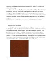 Minkštų baldų gamybos technologija 6 puslapis