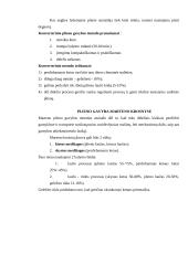 Plieno gavyba 3 puslapis