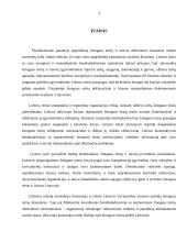 Tarptautiniai žmogaus teisių gynimo būdai 3 puslapis