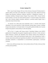 Tarptautiniai žmogaus teisių gynimo būdai 4 puslapis