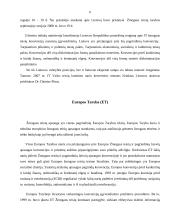 Tarptautiniai žmogaus teisių gynimo būdai 6 puslapis