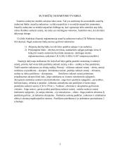 Viešųjų sutarčių sudarymo ypatumai 3 puslapis