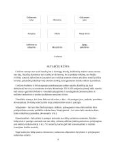 Viešųjų sutarčių sudarymo ypatumai 4 puslapis