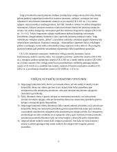 Viešųjų sutarčių sudarymo ypatumai 6 puslapis