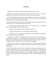 Viešųjų sutarčių sudarymo ypatumai 7 puslapis