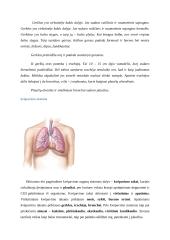 Išplėstinis biologijos pamokos planas 4 puslapis