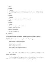 Išplėstinis biologijos pamokos planas 7 puslapis