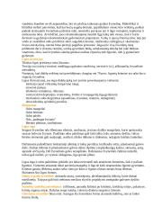 Praktikos savarankiškas darbas: žvynelinė 4 puslapis