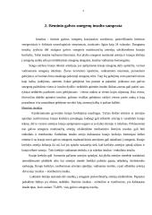 Profesinės veiklos praktikos ataskaita: kineziterapija 4 puslapis