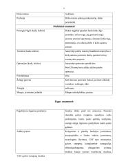 Profesinės veiklos praktikos ataskaita: kineziterapija 6 puslapis