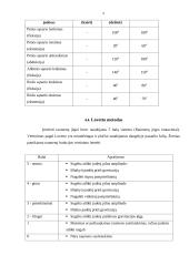 Profesinės veiklos praktikos ataskaita: kineziterapija 9 puslapis