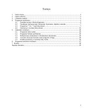 Programos "Struktūros" projektavimas 2 puslapis