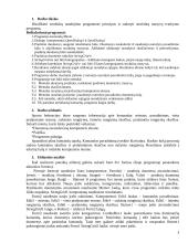 Programos "Struktūros" projektavimas 3 puslapis