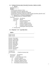 Programos "Struktūros" projektavimas 7 puslapis