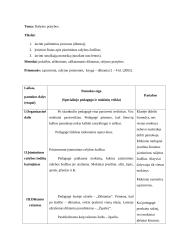 Stebėtų specialiojo pedagogo vedamų pamokų protokolai 13 puslapis