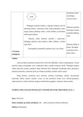 Stebėtų specialiojo pedagogo vedamų pamokų protokolai 15 puslapis