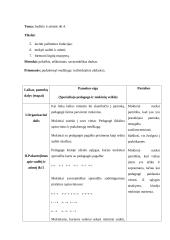 Stebėtų specialiojo pedagogo vedamų pamokų protokolai 16 puslapis