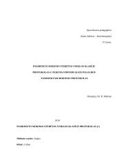 Stebėtų specialiojo pedagogo vedamų pamokų protokolai 20 puslapis