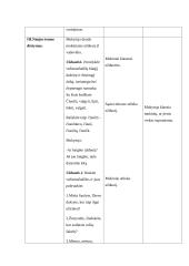 Stebėtų specialiojo pedagogo vedamų pamokų protokolai 3 puslapis