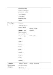 Stebėtų specialiojo pedagogo vedamų pamokų protokolai 4 puslapis