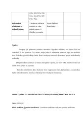Stebėtų specialiojo pedagogo vedamų pamokų protokolai 9 puslapis