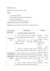 Stebėtų specialiojo pedagogo vedamų pamokų protokolai 10 puslapis