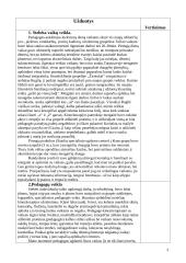 Stebimosios pedagogo praktikos dienoraštis 3 puslapis