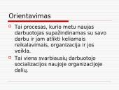 Personalo adaptacijos samprata 16 puslapis