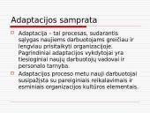 Personalo adaptacijos samprata 3 puslapis